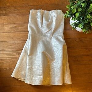 Express Silvery White Strapless Dress